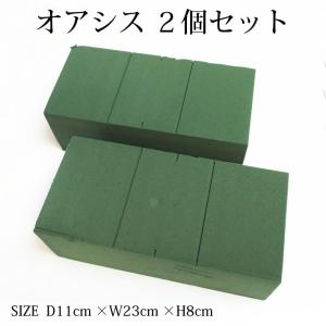 フローラルフォーム 吸水性スポンジ ２個セット サイズ：23cm×11cm×8cm 生花 切花 切り花 生け花 花 フラワー資材 生花用 スポンジ オアシス