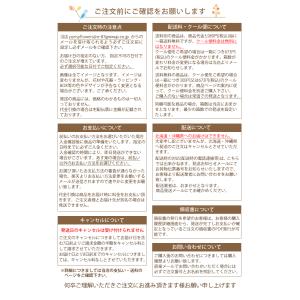 フローラルフォーム 吸水性スポンジ 2個セット...の詳細画像2