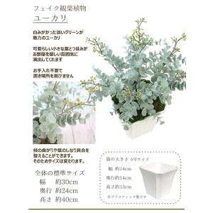 フェイクグリーン 人工観葉植物 ユーカリ 5号...の詳細画像1