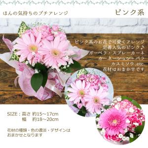 花 誕生日 ギフト ほんの気持ちのプチアレンジ...の詳細画像2