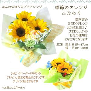 花 誕生日 ギフト ほんの気持ちのプチアレンジ...の詳細画像1