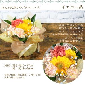 花 誕生日 ギフト ほんの気持ちのプチアレンジ...の詳細画像3
