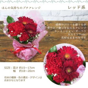 花 誕生日 ギフト ほんの気持ちのプチアレンジ...の詳細画像4