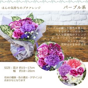 花 誕生日 ギフト ほんの気持ちのプチアレンジ...の詳細画像5