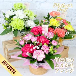 母の日 ギフト カーネーション 母の日のおまかせアレンジ 花 プレゼント 3カラー 2026 フラワーギフト 母の日 生花 アレンジメント ギフト アレンジ