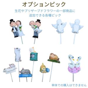 オプションドールピック フラワーギフトに追加可能...の商品画像