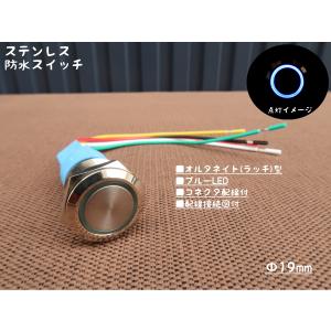 横2連 ステンレス製 防水スイッチ IP67 オルタネイト ステンレスパネル