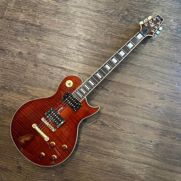 Aria ProII PE-DLX Electric Guitar エレキギター アリア -d598