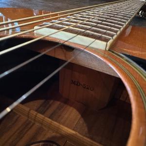 Morris MD-520 Acoustic ...の詳細画像2