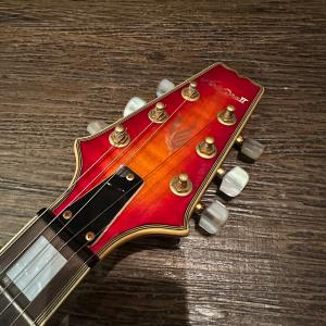 Aria ProII PE-DLX Elect...の詳細画像3