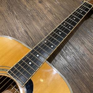 Yamaha FG-250D Electric...の詳細画像3