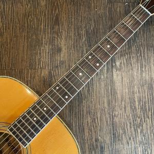 Morris W-25 Acoustic Gu...の詳細画像2