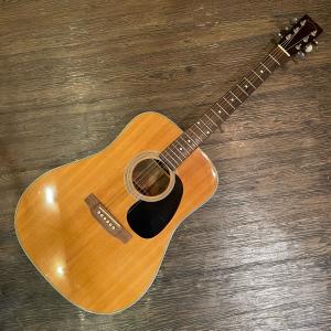 ARIA（アリア） Aria W-200 Acoustic Guitar アコースティックギター
