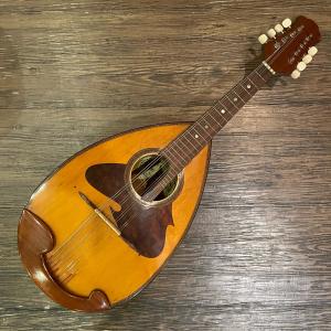 ☆【美品】マンドリン M-60 スズキ SUZUKI 鈴木楽器製作所 Suzuki M-60 Mandolin スズキ マンドリン -a332