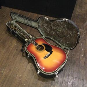 Morris W-40 Acoustic Gu...の詳細画像1
