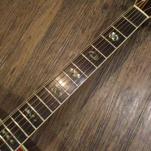 Morris W-40 Acoustic Gu...の詳細画像4