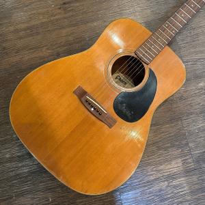 Greco Model 100 Acousti...の詳細画像1