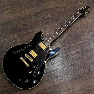 FERNANDES Fernandes Limited Edition Electric Guitar エレキ