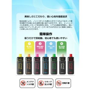 1200パフ ポケットシーシャ HiLIC H...の詳細画像2