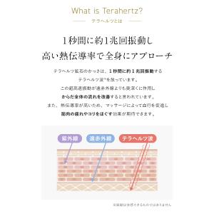 高評価★5.00 かっさ 美顔器 かっさプレー...の詳細画像5