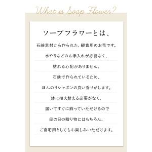 【早割10%OFFクーポン】高評価★4.90 ...の詳細画像4
