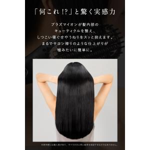 2,000円OFF★ 【 プラズマイオンに進化...の詳細画像1