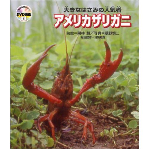 自然なぜなに?DVD図鑑5 大きなはさみの人気者 アメリカザリガニ
