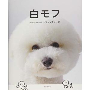 白モフ ?Ａ Dｏｇ Ｎａｍｅｄ ビションフリーゼ?