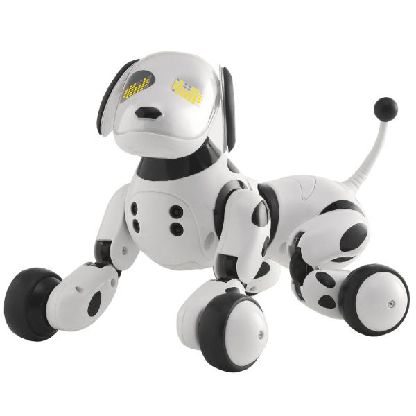 Omnibot Hello Zoomer