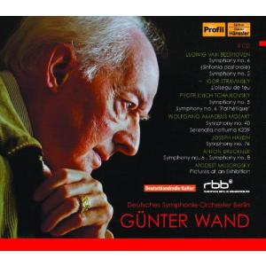 ギュンター・ヴァント/ベルリン・ドイツ交響楽団 ライヴ集成 (Gunter Wand : Deutsches Symphonie-Orche