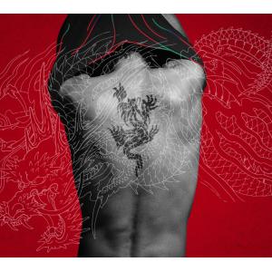 羽 龍が如く盤CD+DVD+Blu-ray - 稲葉浩志