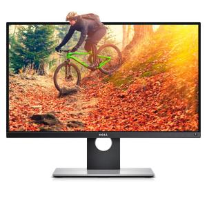 DELL UltraSharp UP2516D 25
