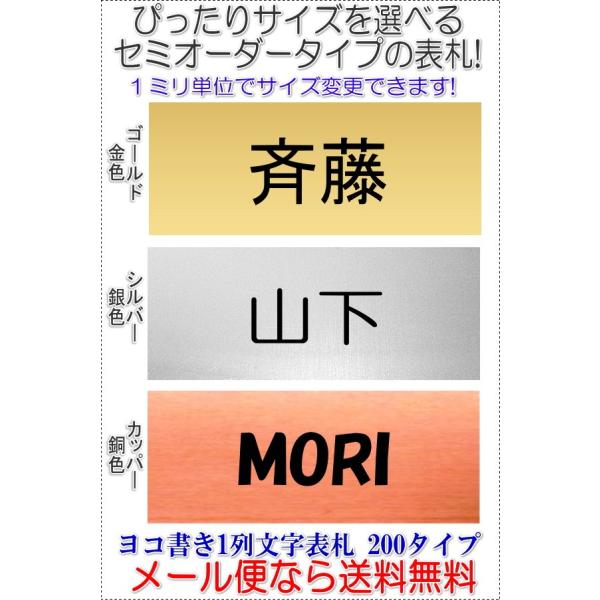 サイズ変更できるアクリル長方形表札一列L200 ヨコ文字タイプ金銀銅R1005-gsc
