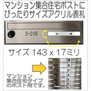 マンション 団地 集合住宅用表札 アクリルプレート SSサイズ143