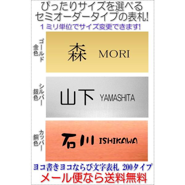 サイズ変更できるアクリル長方形表札ヨコ一列並びL200 金銀銅R1005-2gsc