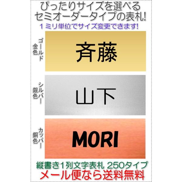 サイズ変更できるアクリル長方形表札一列L250 ヨコ文字タイプ金銀銅R1005-gsc250