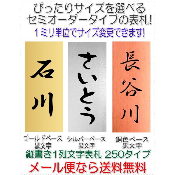 サイズ変更できるアクリル長方形表札一列L250タテ文字金銀銅黒文字R1005-ttgsa250