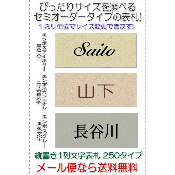 サイズ変更できるアクリル長方形表札一列L250ヨコ文字タイプエンボス R1005enbs250