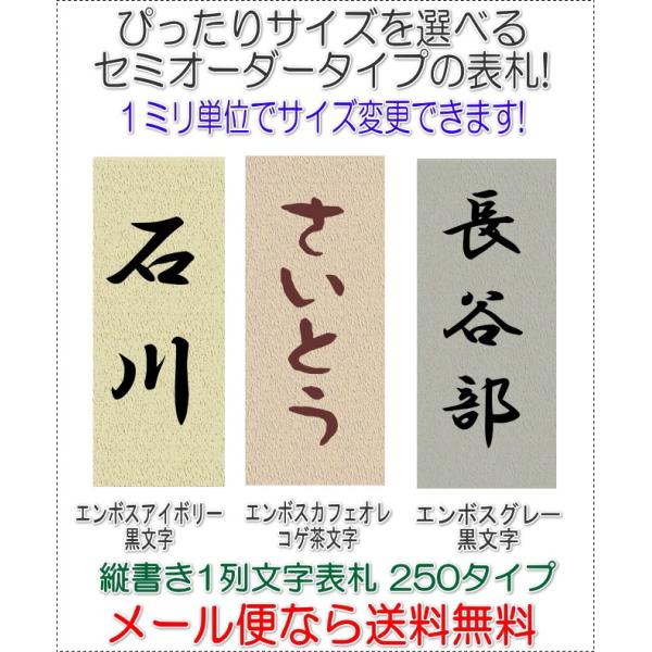 サイズ変更できるアクリル長方形表札一列L250タテ文字 エンボス3色 R1005ttenbs250