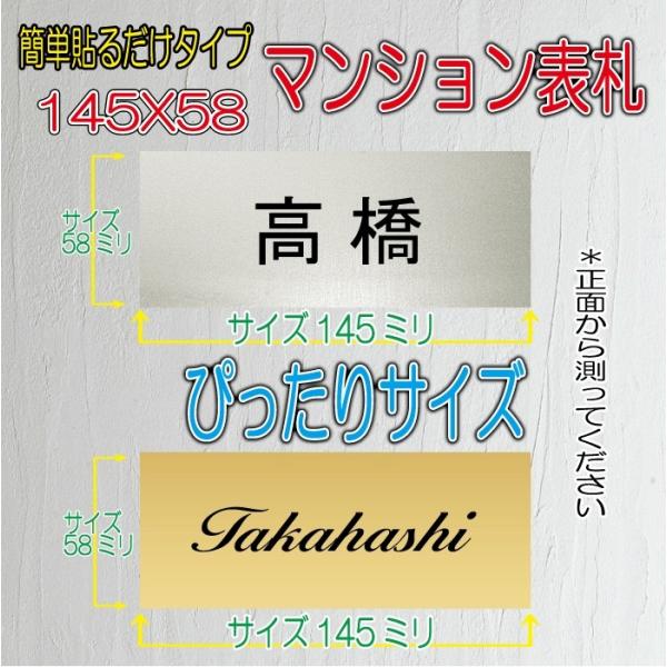 マンション 団地 集合住宅用表札 アクリルプレート ジャストサイズBタイプ 145X58mm r20...