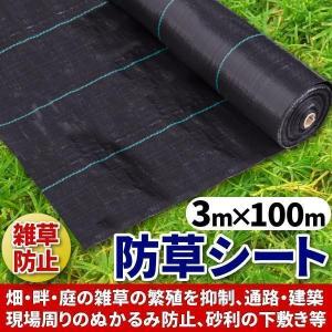 防草シート 3ｍ × 100ｍ 大面積専用 1本 100メートル ソーラーパネル 向け 除草 園芸 シート 庭 ガーデニング 黒 ブラック 農用