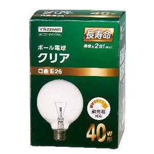 SHARP（シャープ） DL-LA54L LED電球 E26口金 40W形相当 電球色 : 電材