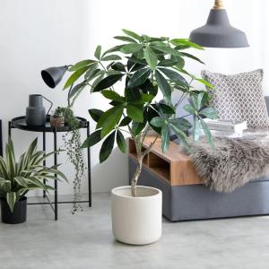 フェイクグリーン パキラ 高さ90cm | 光...の詳細画像1