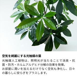 フェイクグリーン パキラ 高さ90cm | 光...の詳細画像3