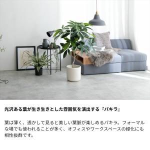 フェイクグリーン パキラ 高さ90cm | 光...の詳細画像5