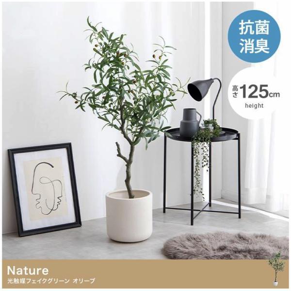 フェイクグリーン オリーブ 高さ125cm 光触媒 人工観葉植物 空気清浄 消臭 抗菌 防汚 ホルム...