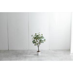 フェイクグリーン ユーカリ 高さ85cm 光触...の詳細画像5