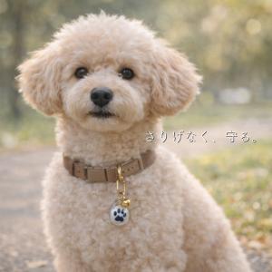 ペット お守り 犬 猫 健康長寿 交通安全 肉...の詳細画像1