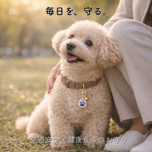 ペット お守り 犬 猫 健康長寿 交通安全 肉...の詳細画像2