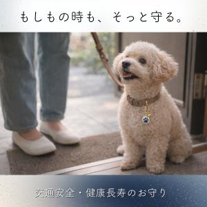 ペット お守り 犬 猫 健康長寿 交通安全 肉...の詳細画像3